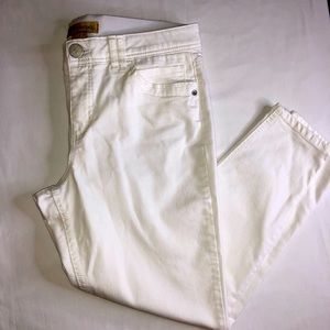 Democracy Nordstrom Pants- Stretch - Ab Technology